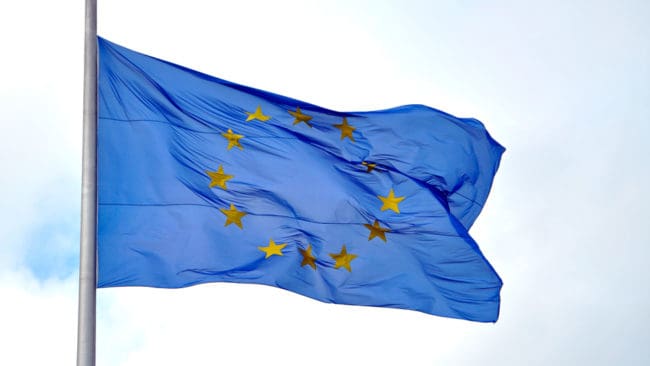 EU-parlamentets utskott för framställningar diskuterar svensk vargförvaltning.