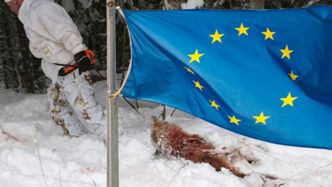EU-kommissionen hävdar att vargjakten i Sverige är olaglig. Återigen hotar kommissionen med EU-domstolen.