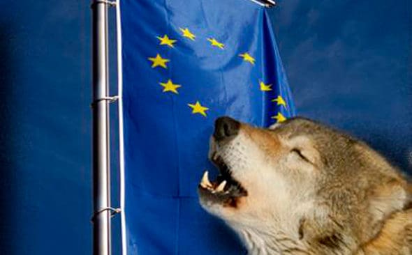Enligt ett EU-f&ouml;rslag f&ouml;r Sveriges vargpolitik ska j&auml;gare straffas kollektivt i ett omr&aring;de d&auml;r det skjutits varg illegalt. D&aring; stoppas jakten p&aring; rovdjur under fem &aring;r.