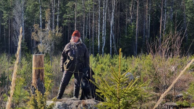 Eva Park där hon helst vill vara – i skogen med en hund vid sin sida. Men det senaste året har vargsituationen tvingat henne att förlägga träningen till centrala Uppsala.