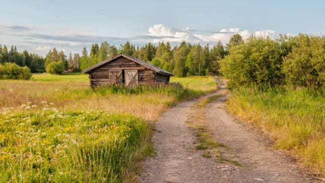 Förändringen av landsbygdens odlingslandskap påverkar arterna mest, men myndigheterna driver nu folk från landbygden genom allt fler regler, anser skogsprofessorn Mats Nylinder .