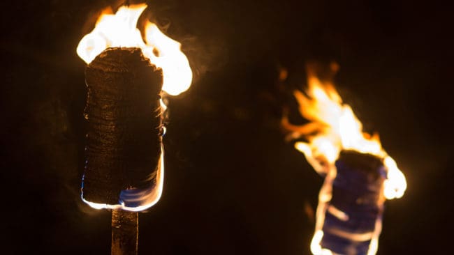 På lördag arrangeras fackeltåg på flera håll för att hedra vargtagna hundar och protestera mot rovdjurspolitiken.