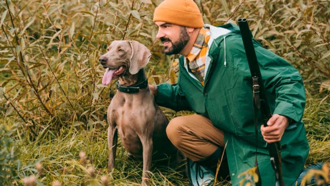 Lägg aldrig en laddad hagelbössa vid en jakthund som trampar runt. Det är sensmoralen efter en fasanjakt då en hund råkade avlossa en hagelsalva i ryggen på en 36-årig man på cirka 20 meters avstånd. (Arkivbild)