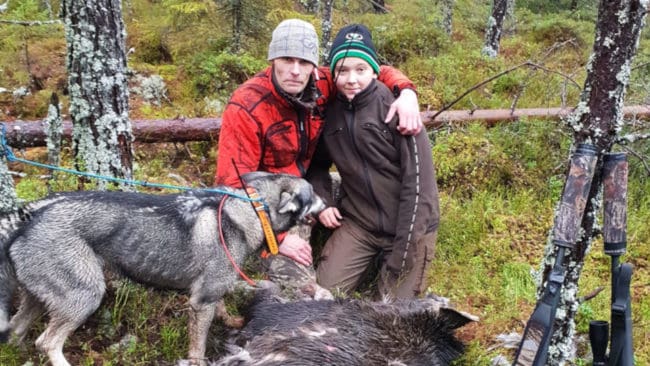 Jämthundstiken Ahlena var en mycket duktig jakthund och kenneln första jaktchampion.