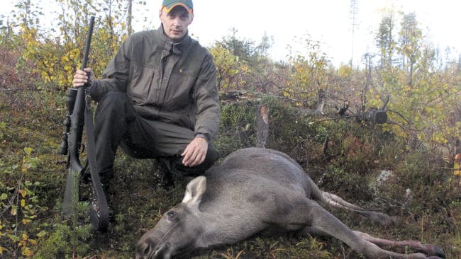 Priset för att fälla älg är väldigt olika beroende på vilket län jägaren har fällt den.