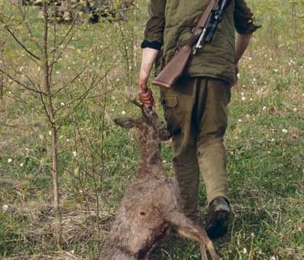 Ingen vet hur många vårbockar som fälls i de sex län där jakten är tillåten på grund av radioaktivt nedfall. Företrädare för Naturvårdsverket kritiserar Jägareförbundet för att det saknas statistik om fällda vårbockar.