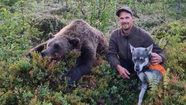 Erik Sjöberg med sin jämte Jizzla med den första fällda björnen den 23 augusti. Idag fick han skjuta sin andra björn. Det var en hanne på cirka 150 kilo som kom rusande och fälldes på fem meters avstånd.