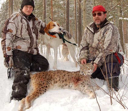 Hundf&ouml;raren Alexander Jonsson och loskytten Bj&ouml;rn-Erik Edlund med den 1,5-&aring;rige foxhoundblandisen Kling. Tillsammans s&aring;g till att det andra lodjuret f&auml;lldes i s&ouml;dra omr&aring;det. &Auml;ven det f&ouml;rsta lodjuret i s&ouml;dra kustomr&aring;det f&auml;lldes f&ouml;r Kling. Lohannen p&aring; 20,7 kilo fanns inne i byn Selet och hade rivit tv&aring; r&aring;djur vid en foderh&auml;ck tidigare p&aring; morgonen. Tv&aring; andra lodjur smet ut ur s&aring;ten.
