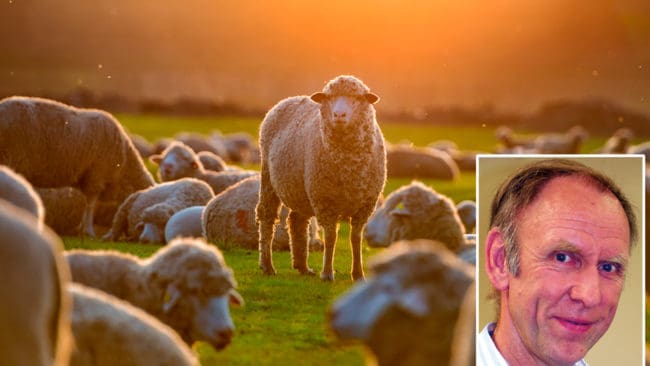 Jägarnas Riksförbunds vice ordförande Henrik Tågmark tycker att vargdrabbade djurägare måste respekteras.