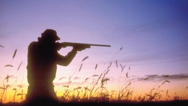 Från cirka 300 000 jägare har jägarkåren krympt till närmare 276 000. Det visar antalet jaktkortslösare för säsongen 2006-2007 som nu finns i Naturvårdsverkets register.