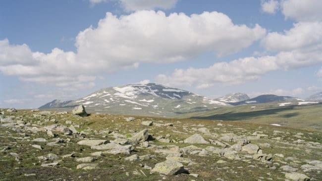 Det dröjer ytterligare ett år innan Girjasmålet kommer upp i hovrätten.