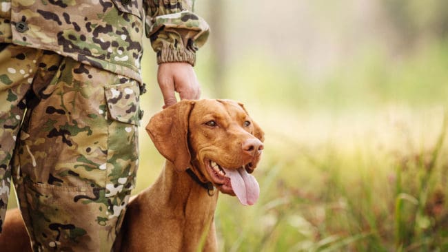 Polisens hundpatruller och jägare med hundar kallades in för att leta efter den försvunna flickan och efter eventuella björnar.