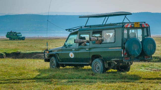 Amerikanska forskare menar att eko-turism, som exempelvis fotosafaris i Afrika, riskerar att göra djuren mindre skygga. (Arkivbild)
