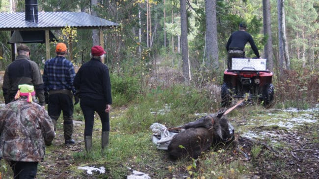 Länsstyrelsen i Dalarna går ut med riktad info till älgjägarna för att påminna hur reglerna kring terrängkörning med motordrivna fordon ser ut. (Arkivbild)