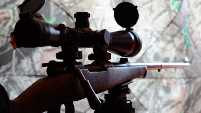 Polisen har hittat blodspår sedan en äldre man i Köpings kommun sköt mot en varg på söndagsmorgonen. Vargskytten är misstänkt för grovt jaktbrott och har fått alla sina vapen beslagtagna, men han har inte anhållits. (Arkivbild)