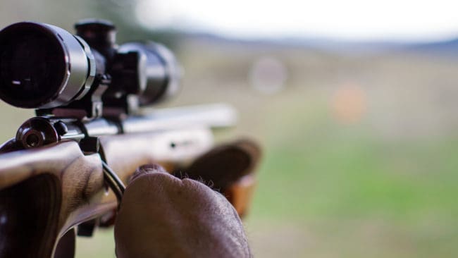 Delsbo viltvårdsförening har fått vapen och ammunition beslagtagna och riskerar att förlora licenserna.