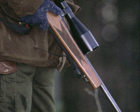 Vargar och andra stora rovdjur bör kunna skjutas även i närhet av bebyggelse, anser kristdemokraterna.