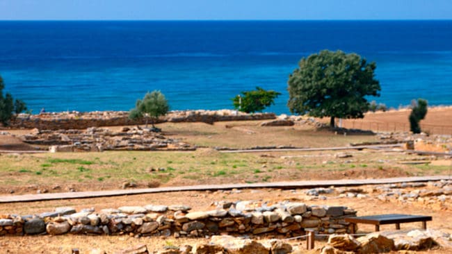 Den dödliga attacken mot en turist skedde i närheten av det arkeologiska området Mesimvria i nordöstra Grekland.
