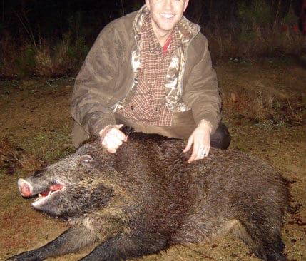 Ser du skillnaden på en galt, sugga, gylta eller årsgris? Bra cirka tio procent kunde se att den fällda grisen på bilden är en sugga i treårsåldern som väger 90 kilo.