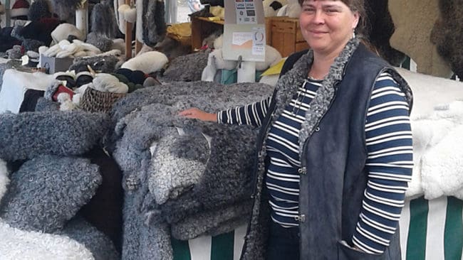 Gudrun Haglund-Eriksson i Fåravelsförbundet dömer ut kravet på godkända elstängsel innan det kan bli skyddsjakt på en fårdräpande varg i Halland. Hon vill utöka reglerna för skyddsjakt i paragraf 28, så vargar kan spåras och skjutas när de lämnat en hage.