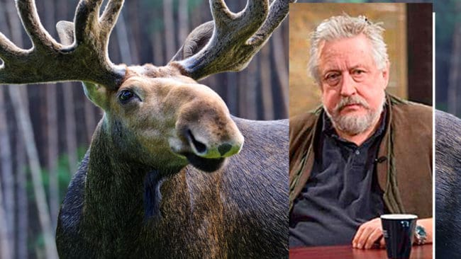 Älgmulen är en stor läckerhet, tycker kriminologiprofessorn och jägaren Leif GW Persson