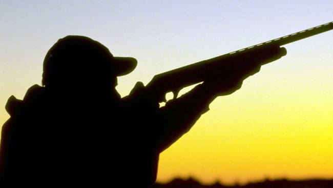 Blyhagel för all fågeljakt bör vara helt förbjudet från 1 januari 2008. Det anser Naturvårdsverket och Kemikalieinspektionen i en utredning som lämnas över till regeringen.