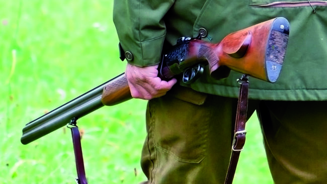 En man ärvde ett jaktvapen av sin pappa, men lät systern förvara det hemma hos sig. Dock saknades det tillstånd för detta, så systern döms till böter för vapenförvaring utan tillstånd.
