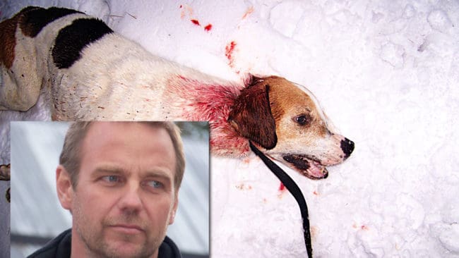 H&aring;kan Johansson tvingades avliva Albin med ett nackskott. N&auml;r han sl&auml;pat ut honom till v&auml;gen tog han en sista bild av sin jaktkompis, som blev tio &aring;r gammal.