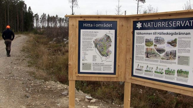 En privatperson har överklagat länsstyrelsens beslut om att bilda naturreservat i brandområdet i Västmanland. (Arkivbild)