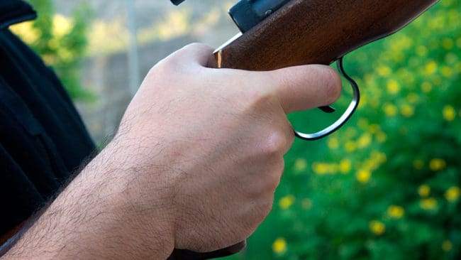 En jägare i 60-årsåldern åtalas för framkallande av fara för annan efter att ha skjutit mot älgar vid en banvall där två arbetare också befann sig.