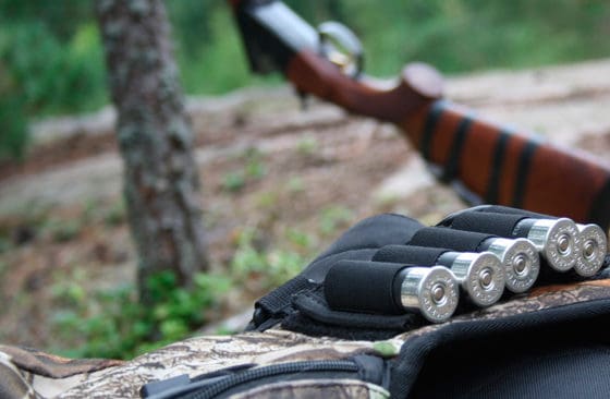 Ungdomar kan delta i jakt på hare och räv, som arrangeras av Jägarnas Riksförbund i Kronoberg.