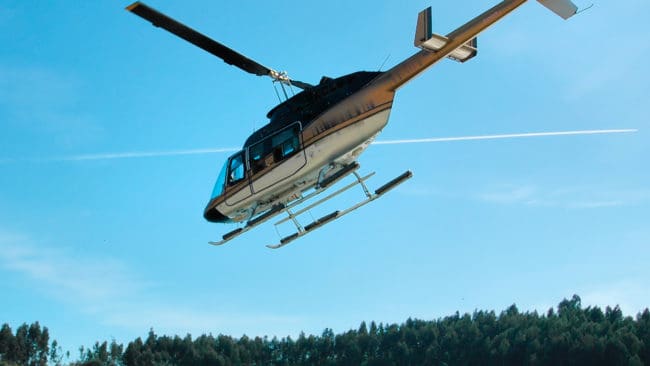 Polisen i Norge utreder om åtta björnar med hjälp av helikopter drevs från Tröndelag till Jämtland, där de sedan avlivades för att freda renkalvar i renskötselområdet. (Arkivbild)