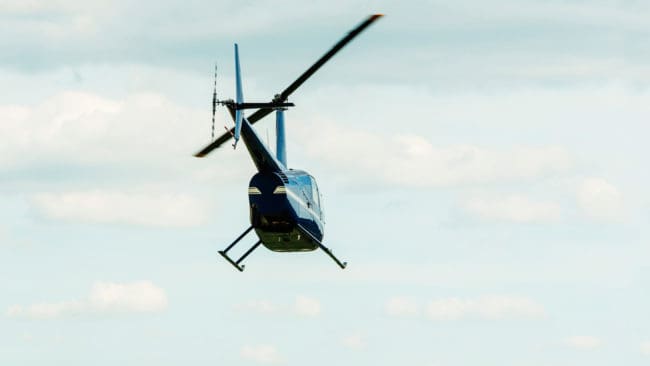 En norsk man i 60-årsåldern sköt en varg från helikopter och hävdar nödvärn eftersom vargen ska ha jagat renar. (Arkivbild)