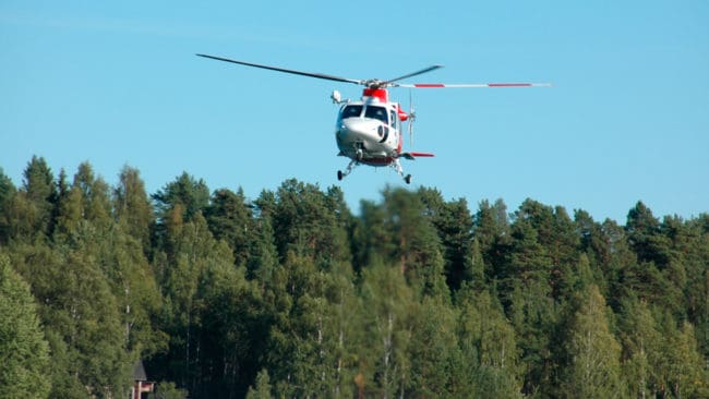 I Norge begärs det att få sitta in helikopter för att kunna skjuta två fårdräpande vargar som ska avlivas.