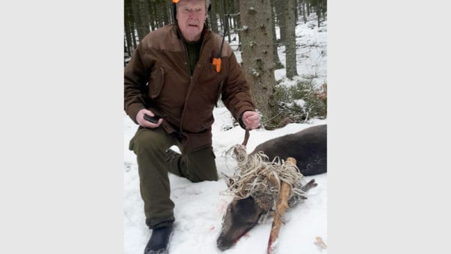 Sören Lindsnäs med den skjutna dovhjorten i södra Dalarna. Hjorten har fått både en stolpe och stängseltråd intrasslat i hornet.