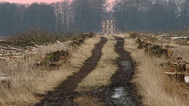 Ett flertal jägare som lurats av en man som sålt jakt vid ett skånskt gods via en Blocketannons förbereder sig nu för att lämna in en varsin stämningsansökan mot honom. (Arkivbild)