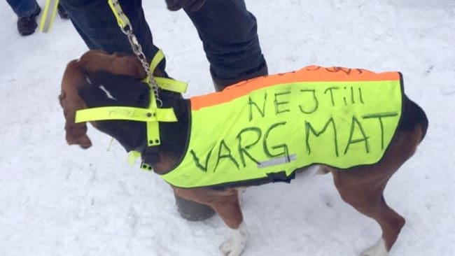 En deltagare på demonstrationen i Örebro.
