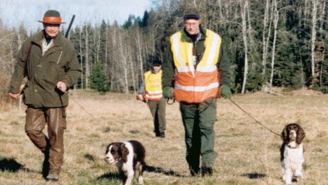 Jägare som deltar i eftersök ska få en schablonersättning enligt ett regeringsbeslut. Men detaljerna är inte klara än.