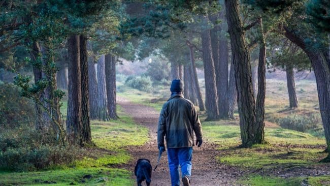 Finska hundägare kan räkna med betydligt högre ersättningsbelopp än svenska då deras hundar skadas eller dödas av rovdjur.