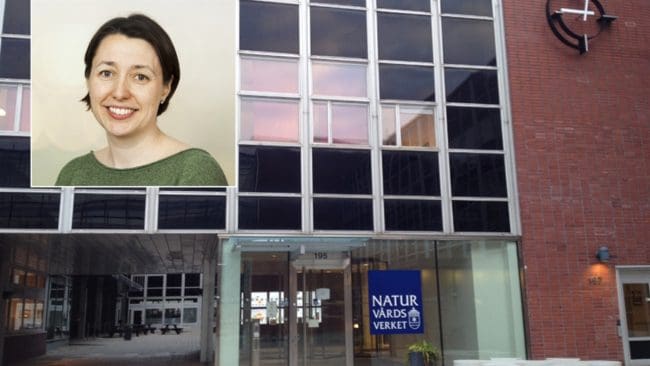 Gunilla Skotnicka, biträdande avdelningschef för Naturavdelningen på Naturvårdsverket, understryker att det är ovanligt med stora valar i Östersjön. Händer det igen kommer myndigheten att göra en ny bedömning av vem som ska stå för kostnaden.