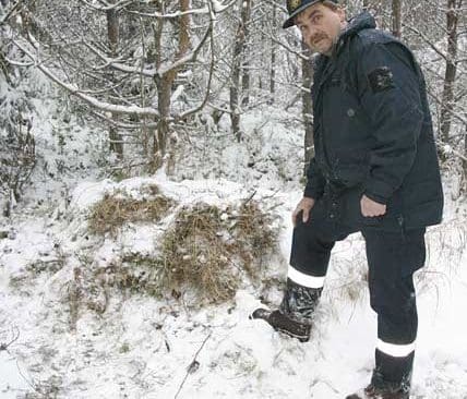 En polisman fr&aring;n H&auml;lsingland visar hur sv&aring;rt det &auml;r att uppt&auml;cka ett bj&ouml;rnide sedan det kommit n&aring;gra centimeter sn&ouml;. I det h&auml;r idet vaknade bj&ouml;rnen av en hund under &auml;lgjakten och gick till angrepp mot hundf&ouml;raren, som f&auml;llde bj&ouml;rnen i n&ouml;dv&auml;rn. Bara n&aring;gon vecka tidigare var r&ouml;jningsarbetet avslutat.