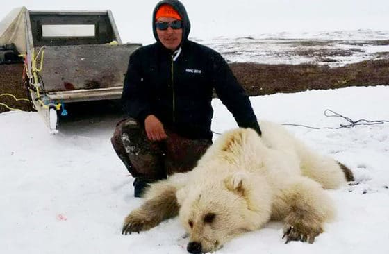 Den 25-årige jägaren Didji Ishalook sköt en hybrid mellan isbjörn och grizzlybjörn.