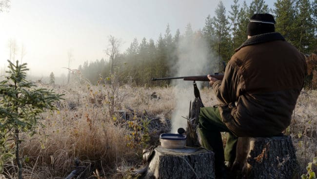 Allt fler utländska jägare kommer till Sverige för att jaga. För att de och andra marklösa jägare ska hitta jakter lanseras Easyhunt Hitta Jakt.