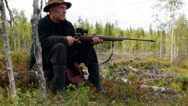 Det är stor skillnad på fällavgfiterna för älgar beroende på var i landet de fälls.