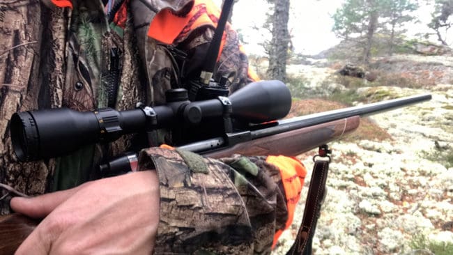 På tisdagen häktades en man från Sollefteå kommun. Han är misstänkt för grovt jaktbrott och häleri. Åklagaren vill inte gå in på några detaljer när det gäller misstankarna. (Arkivbild)