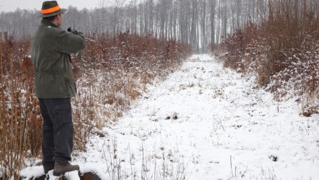 Den åtalade jägare sköt på långt håll utan att ha förvissat sig om att det inte var en människa som han sköt på.
