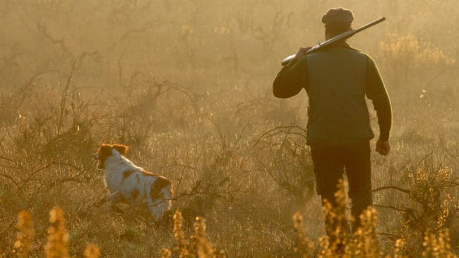 Hån- och hatfulla kommenterar om en jägare som avlidit efter en hjärtattack under en jakt har gjort att en partiledare för ett jaktfientligt djurrättsparti dömts att betala närmare 300 000 kronor till den avlidnes anhöriga. (Arkivbild)