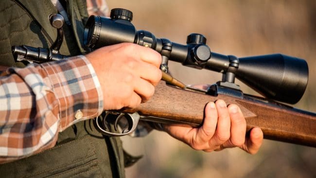 Mannen som nu har fått tillbaka ytterligare fyra jaktvapen är misstänkt för illegal vargjakt och jaktbrott under björnjakten förra året. (arkivbild)