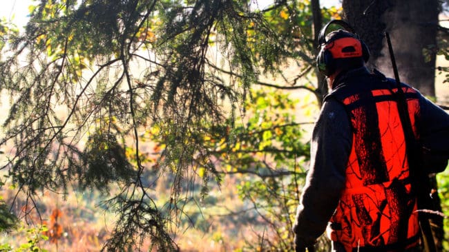 Vargjägare som stått på pass i Kölstareviret i Västmanland har ofredats av jaktsabotörer. Tre polisanmälningar har gjorts av en jägare. I fredags ryckte polisen ut till en gård utanför Surahammar sedan jaktsabotörerna hittat vargjägarnas samlingsplats. (Arkivbild)