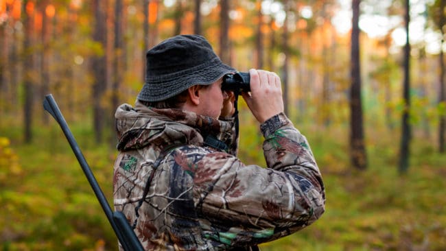 De jägare som utsetts för att skjuta Kolsva-vargen har hittills inte lyckats komma till skott. (Arkivbild)